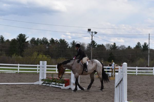 First-Horse-Show-1