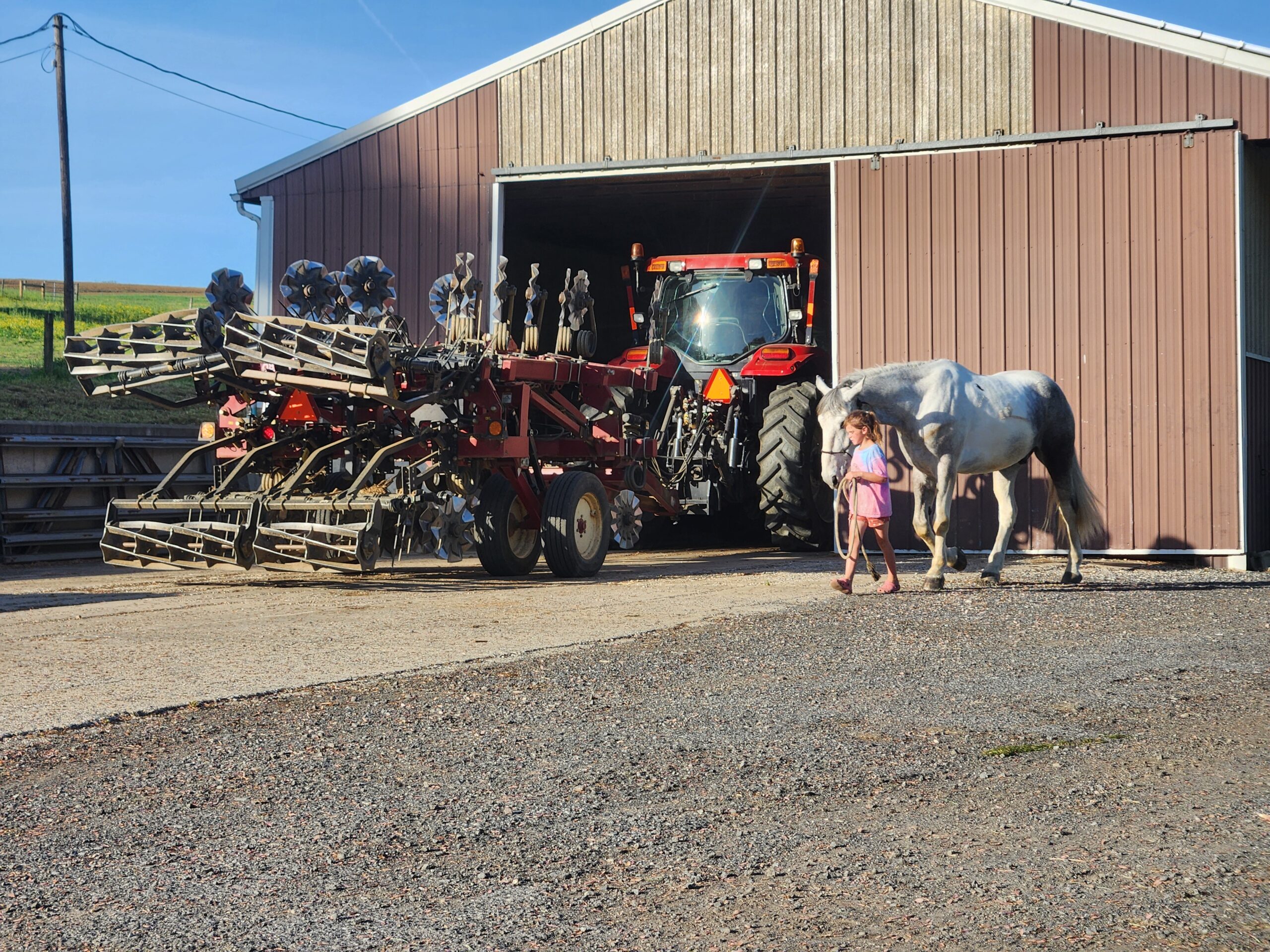 Anchor Creek Felix Paint Draft Cross Gelding Brittanni Murry